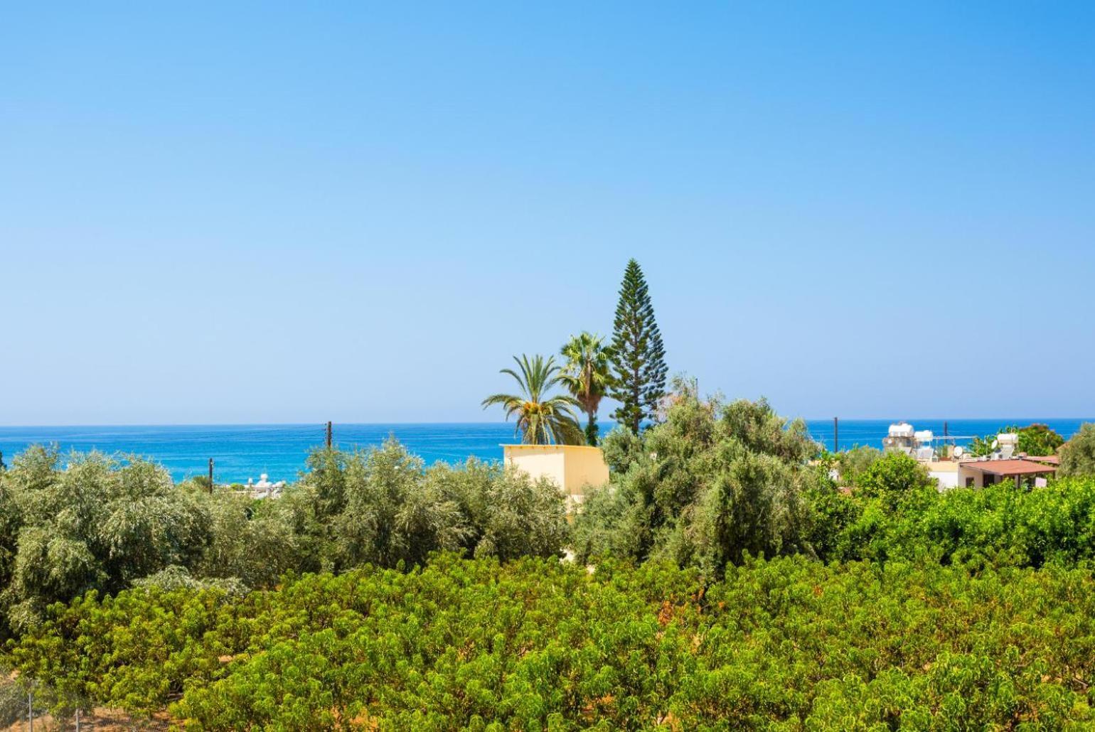 Villa Olivetta Kato Yialia エクステリア 写真